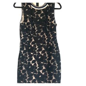 3.1 Phillip Lim Dress
